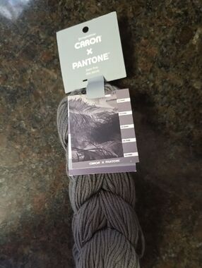 Caron x Pantone Deep Gray Hand-Dyed Yarn - Neutral Gray